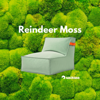 Eco Chair-zitzak Reindeer Moss