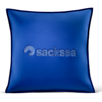 Sacksea Eco pillow - Blue